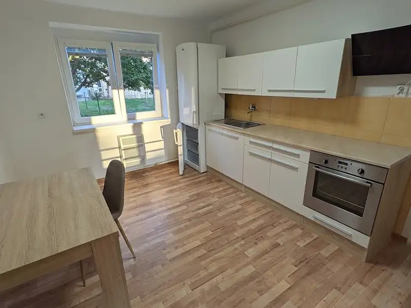 Pronájem bytu 2+1 48 m², Ústí nad Labem – náhled fotky 1