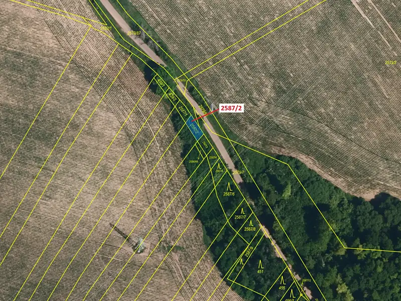 Dražba lesa 86 m², Horní Dunajovice – náhled fotky 2