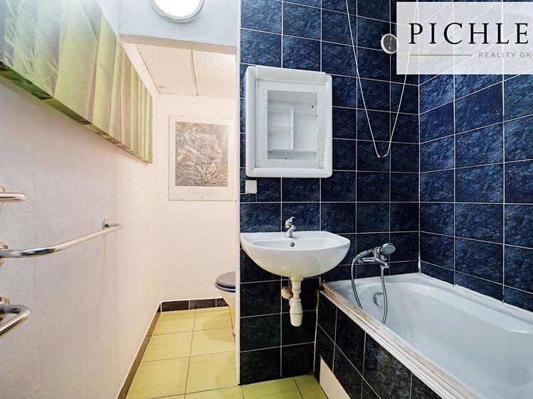 Wohnung 1+kk zur Miete, 31 m² (7 von 17)