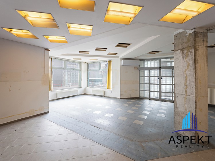 Комерційне приміщення в оренду, 224 м² (2 з 18)