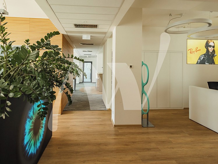 Pronájem komerčního prostoru, 537 m² (9 z 12)