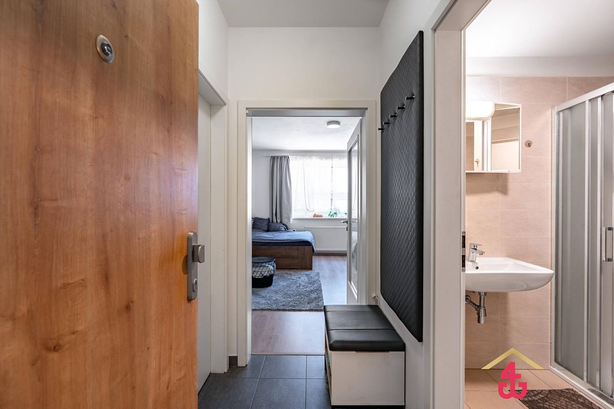 Pronájem bytu 1+kk 33 m² – fotografie 4