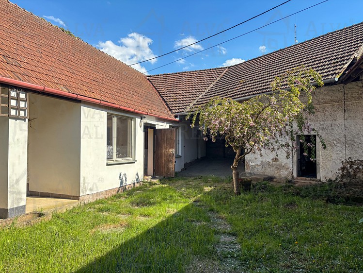 Ostatní