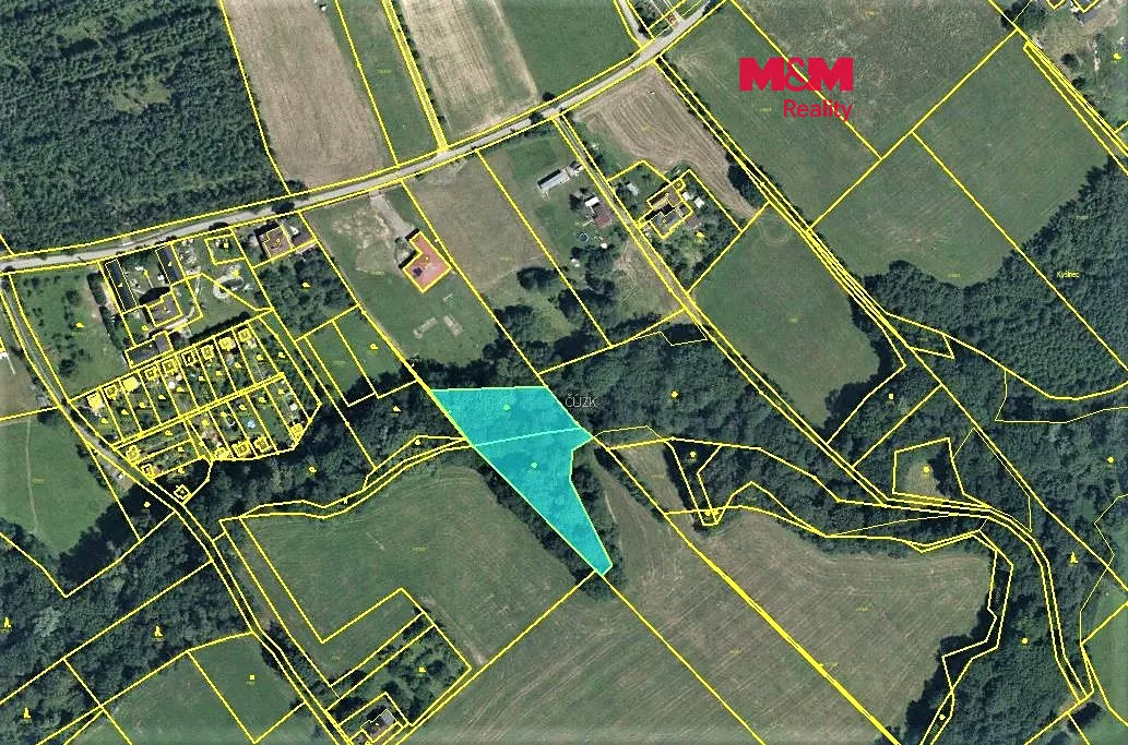 Prodej lesa 3156 m²