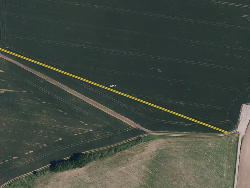 Prodej sadu, vinice 4057 m², Uherčice – náhled fotky 2