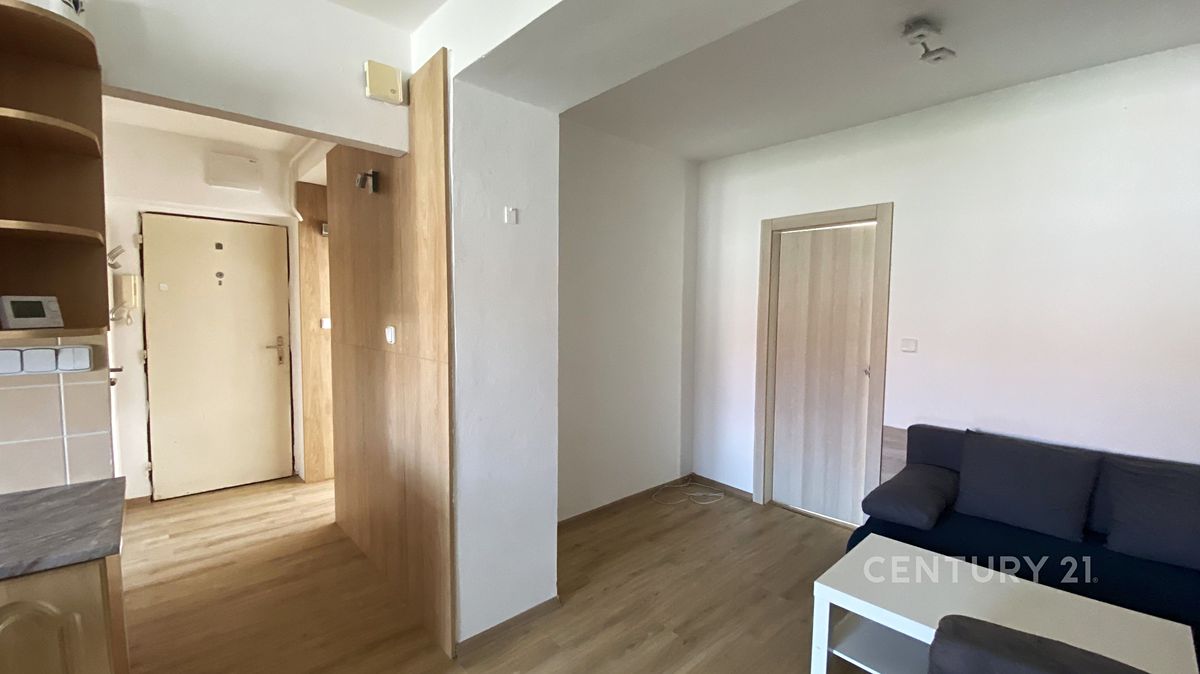 Pronájem bytu 3+kk 55 m² – fotografie 4