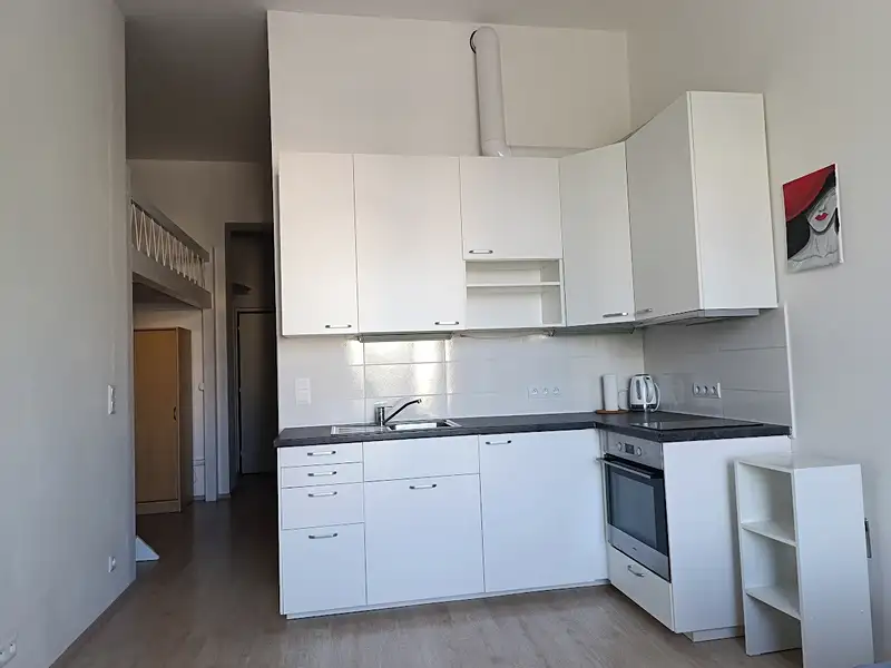 Pronájem bytu 1+kk 33 m², Brno – náhled fotky 3