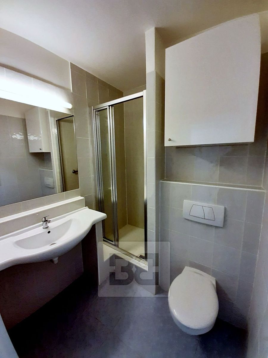 Pronájem bytu 1+kk 17 m² – fotografie 5