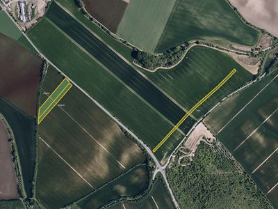 Prodej pole 19820 m²