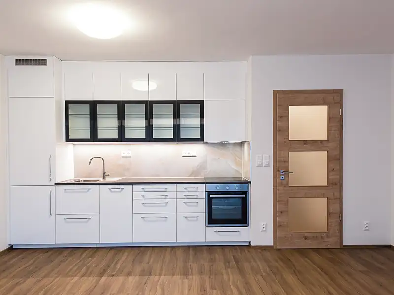 Pronájem bytu 1+kk 55 m², Plzeň – náhled fotky 1