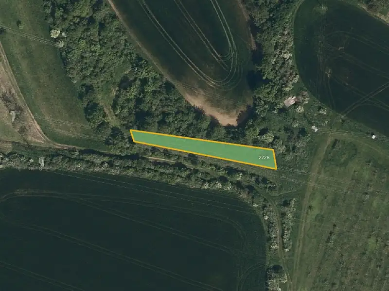 Prodej sadu, vinice 5062 m², Svatobořice-Mistřín – náhled fotky 2