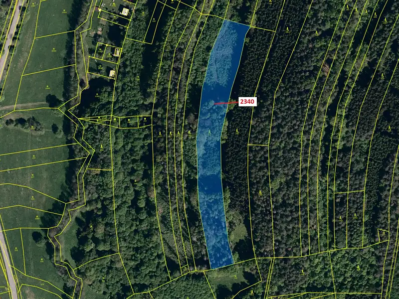 Dražba lesa 10351 m², Ludkovice – náhled fotky 2
