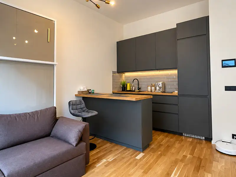 Pronájem bytu 1+kk 30 m², Praha – náhled fotky 2