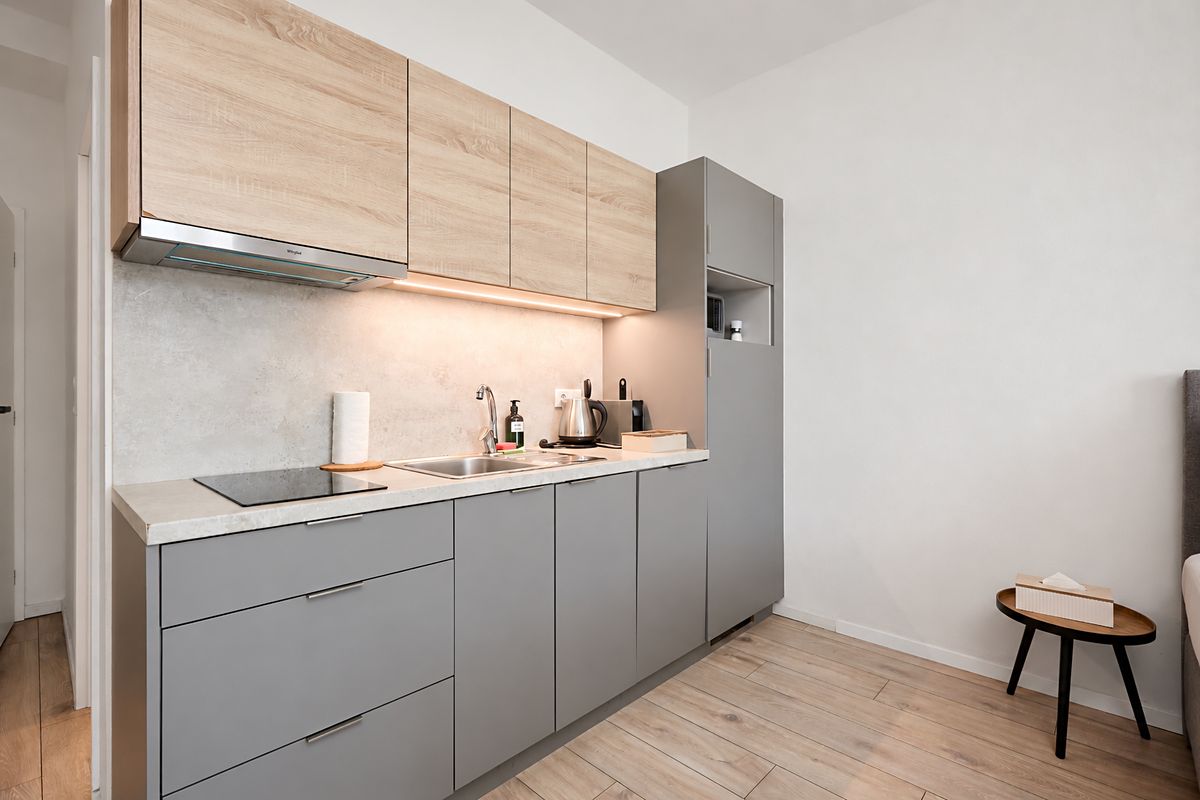 Pronájem bytu 1+kk 25 m² – fotografie 4