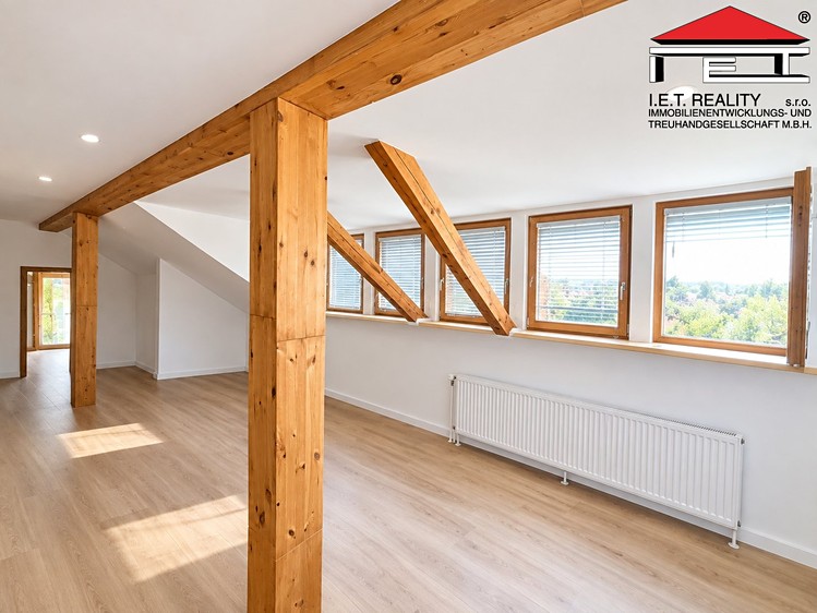Prodej komerčního prostoru, 250 m² (5 z 23)