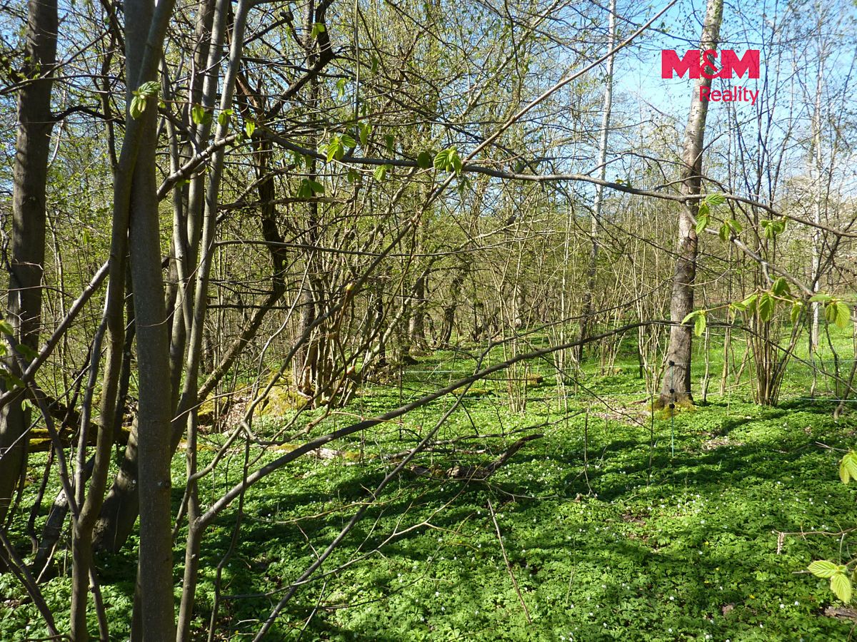 Prodej stavebního pozemku 1453 m² – fotografie 3