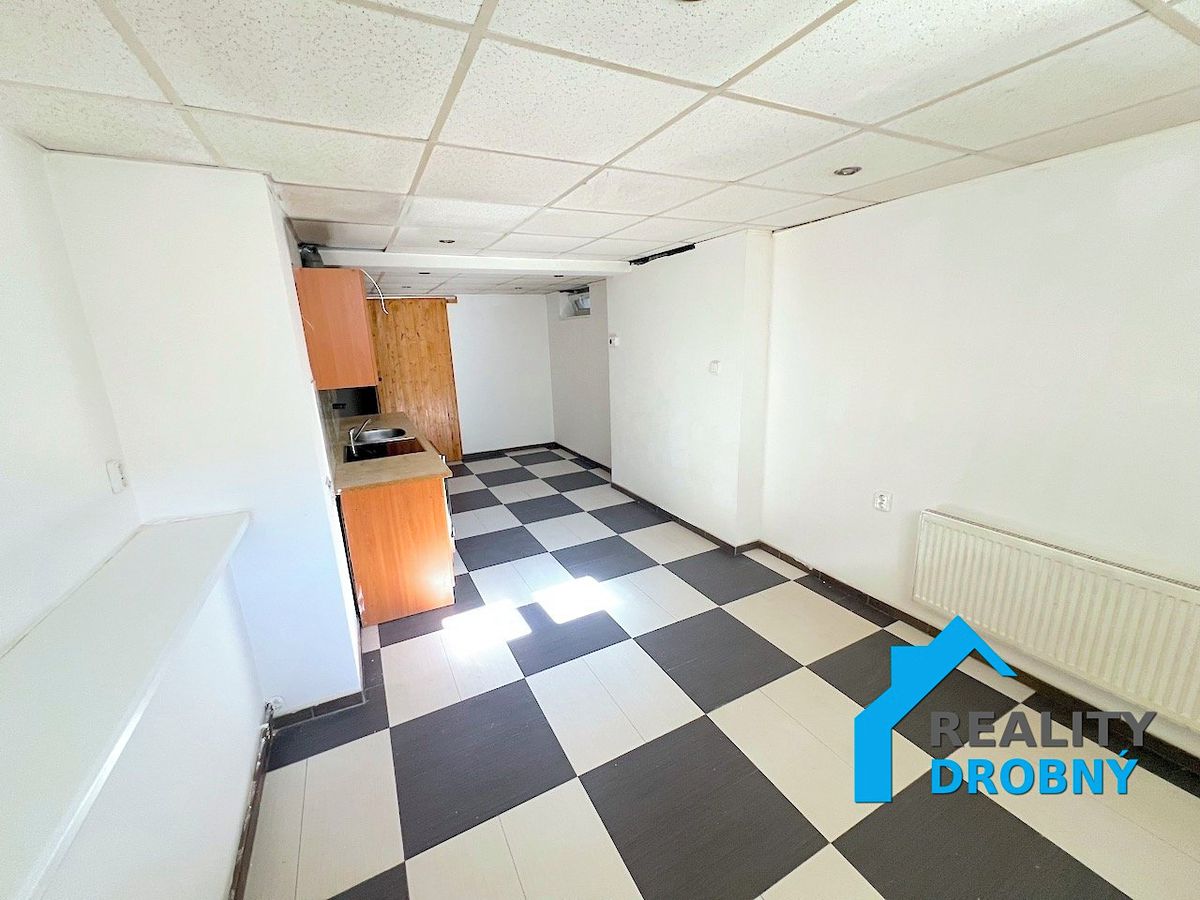 Pronájem bytu 2+1 53 m² – fotografie 5