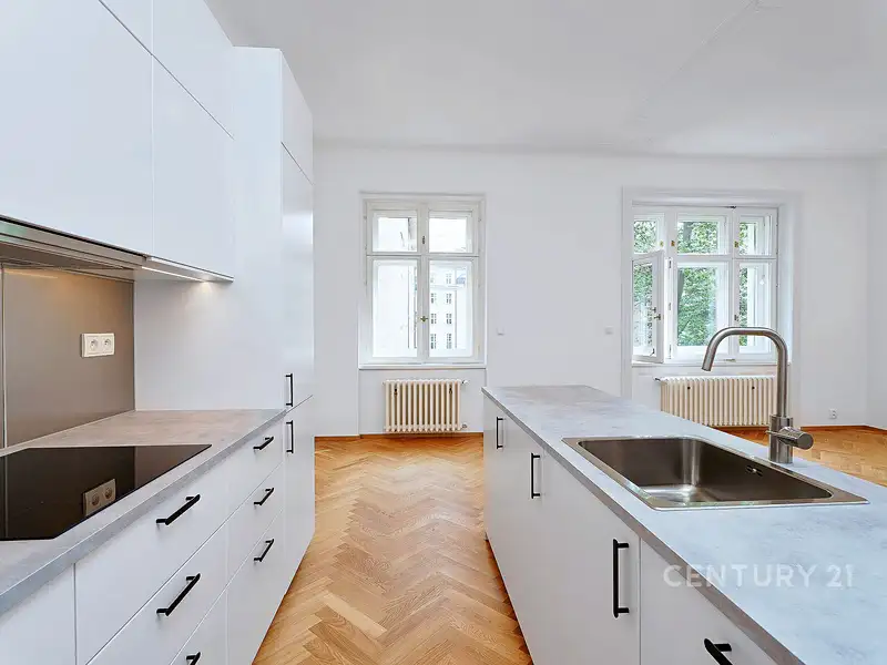 Pronájem bytu 2+kk 90 m², Praha – náhled fotky 1