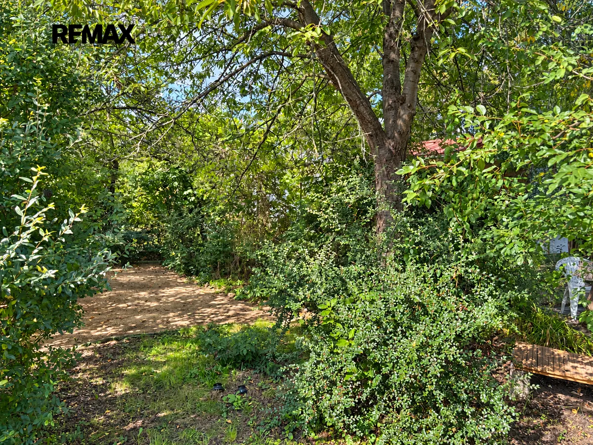 Prodej zahrady 335 m²