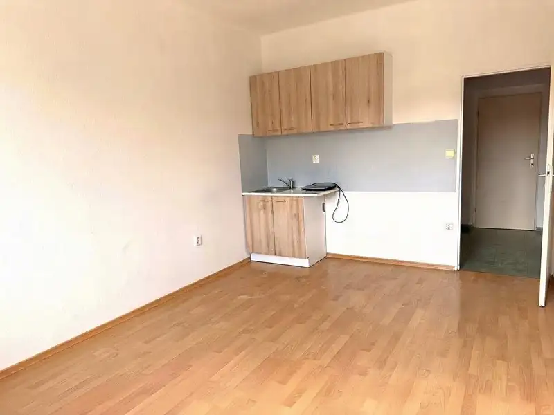 Pronájem bytu 1+kk 21 m², Olešná – náhled fotky 3