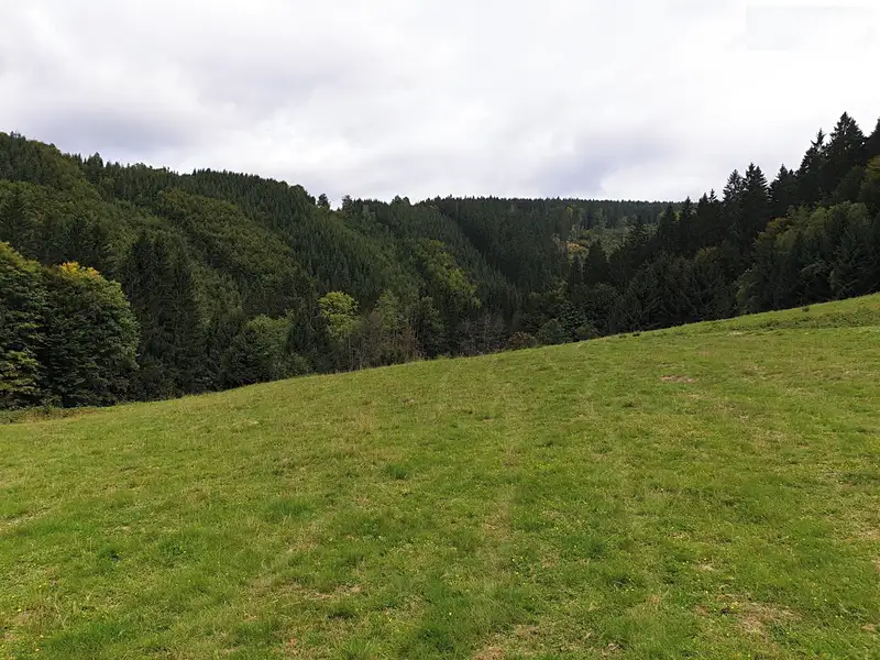 Prodej stavebního pozemku 7400 m², Jablunkov – náhled fotky 2