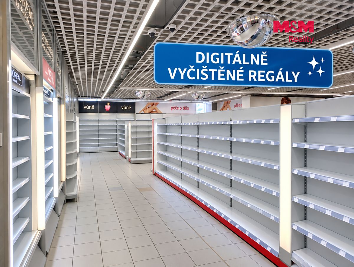 Pronájem obchodního prostoru 304 m² – fotografie 5