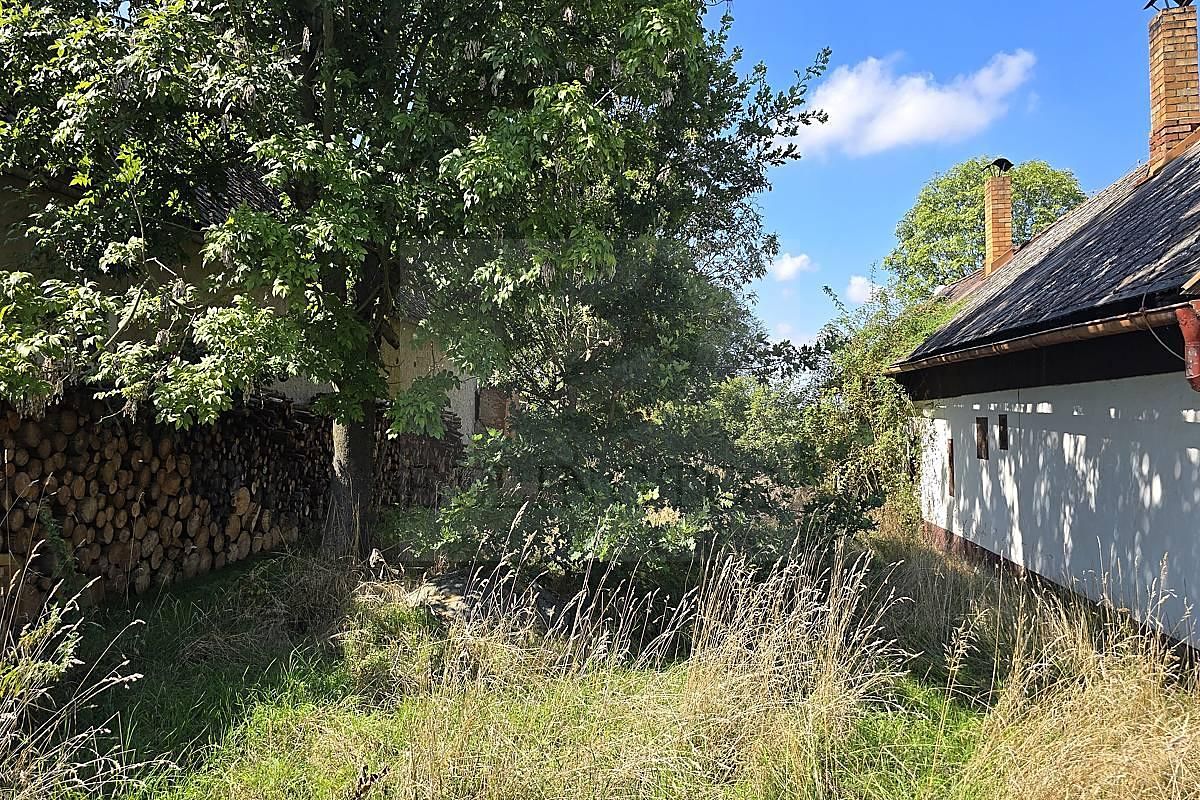 Prodej rodinného domu 100 m², pozemek 2383 m² – fotografie 5