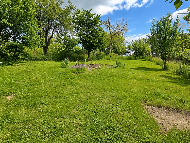 Ostatní