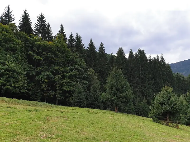 Prodej stavebního pozemku 7400 m², Jablunkov – náhled fotky 3