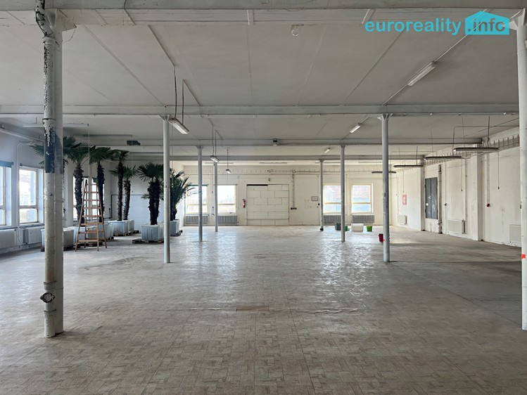 Комерційне приміщення в оренду, 607 м² (6 з 7)