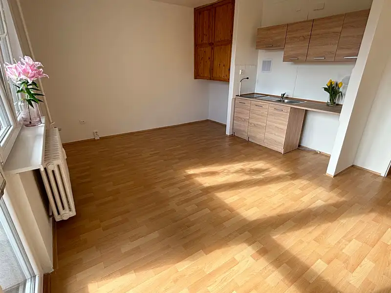 Pronájem bytu 1+kk 29 m², Frýdek-Místek – náhled fotky 2