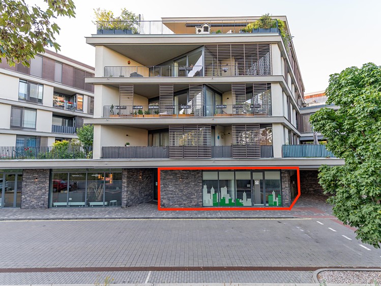 Prodej komerčního prostoru, 220 m² (5 z 23)