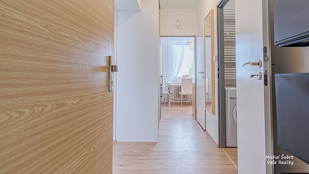 Pronájem bytu 1+1 46 m² – fotografie 5