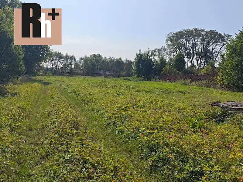 Prodej stavebního pozemku 3947 m², Třebom – náhled fotky 3