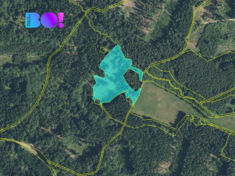 Prodej pole 13044 m², Hošťka – náhled fotky 2