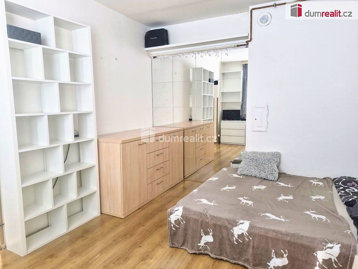 Pronájem bytu 1+1 36 m² – fotografie 2