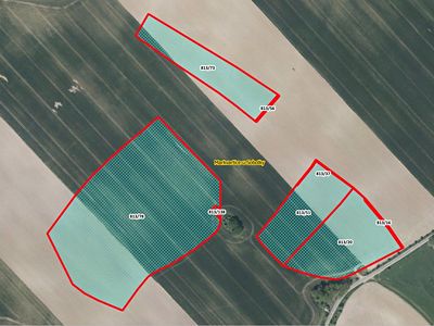 Prodej pole 80011 m²