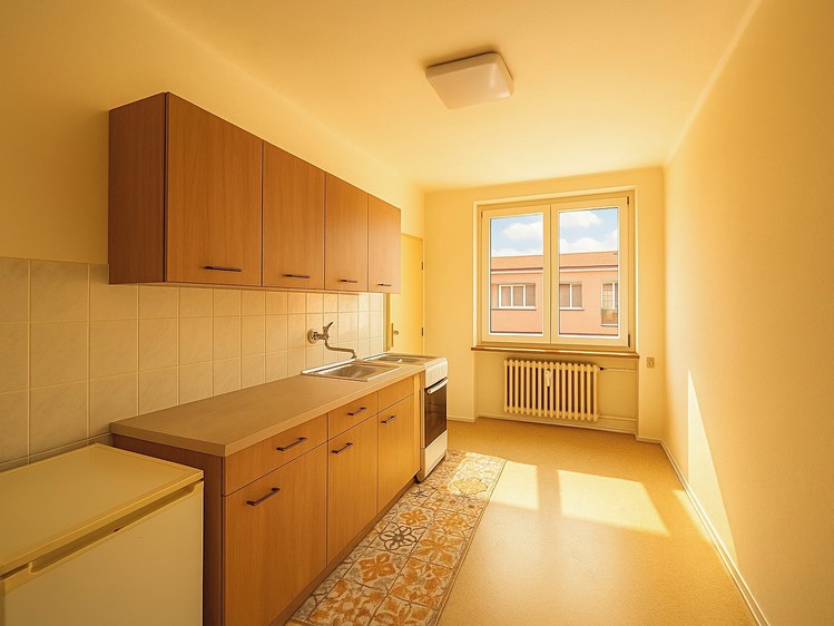 Pronájem bytu 1+1, 42 m² (1 z 23)