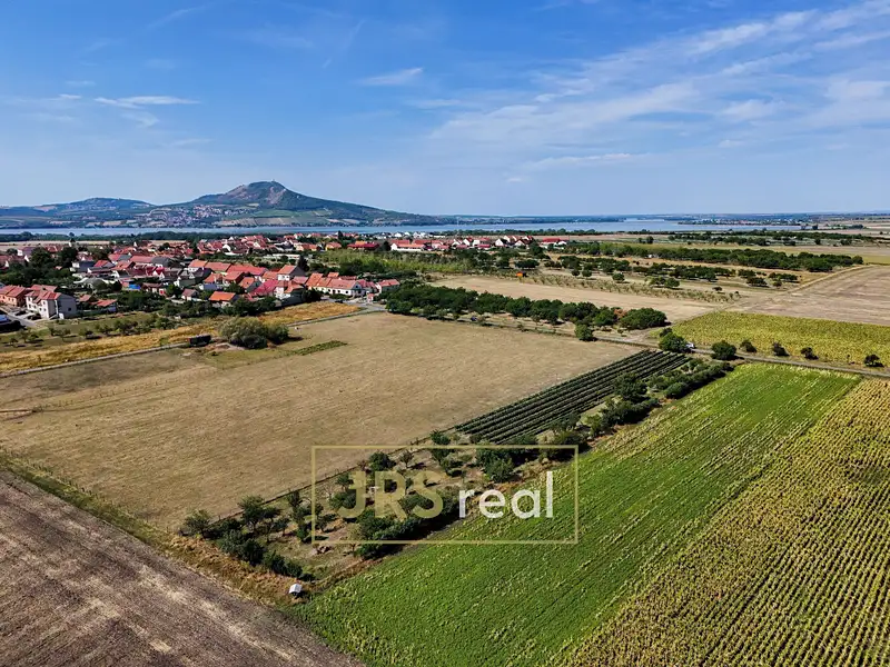 Prodej zahrady 1610 m², Šakvice – náhled fotky 3