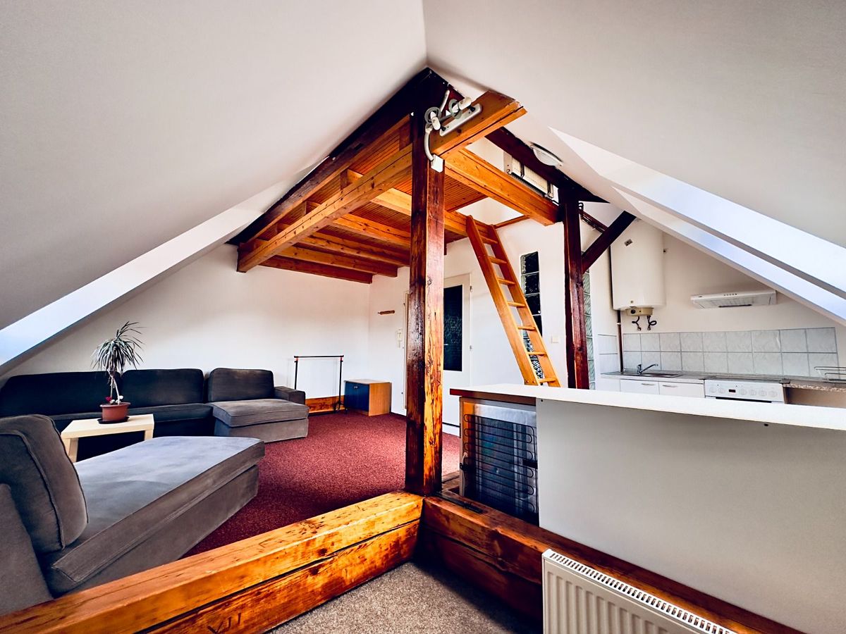 Pronájem bytu 1+kk 45 m² – fotografie 4