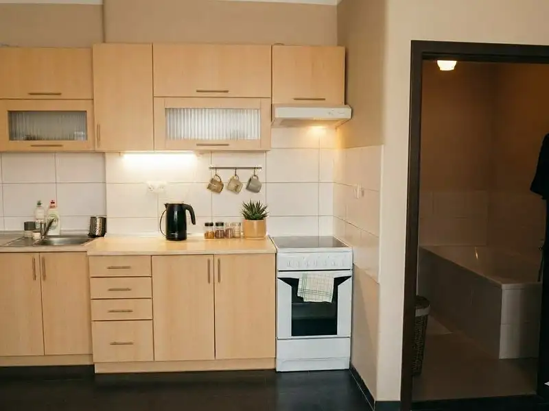 Prodej bytu 2+kk 55 m², Plzeň – náhled fotky 1