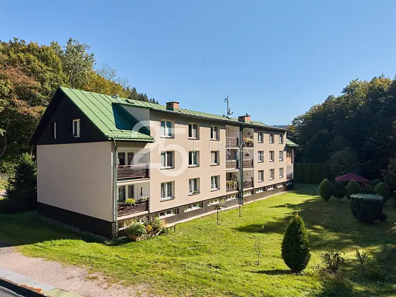 Prodej bytu 1+1 37 m², Svoboda nad Úpou – náhled fotky 1