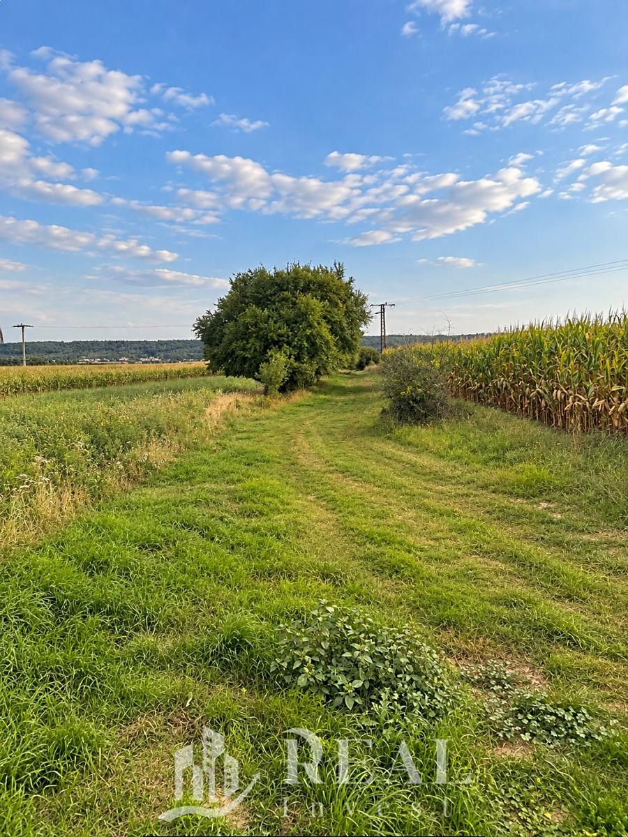 Prodej stavebního pozemku 915 m² – fotografie 4