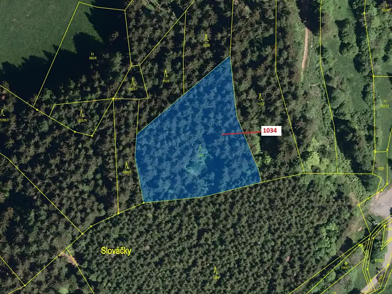 Dražba lesa 4417 m², Halenkov – náhled fotky 2