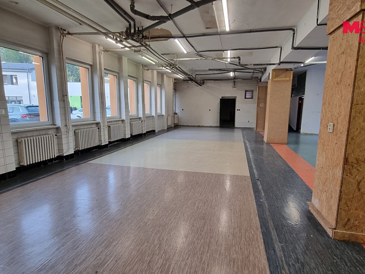 Pronájem komerčního prostoru, 203 m² (4 z 10)