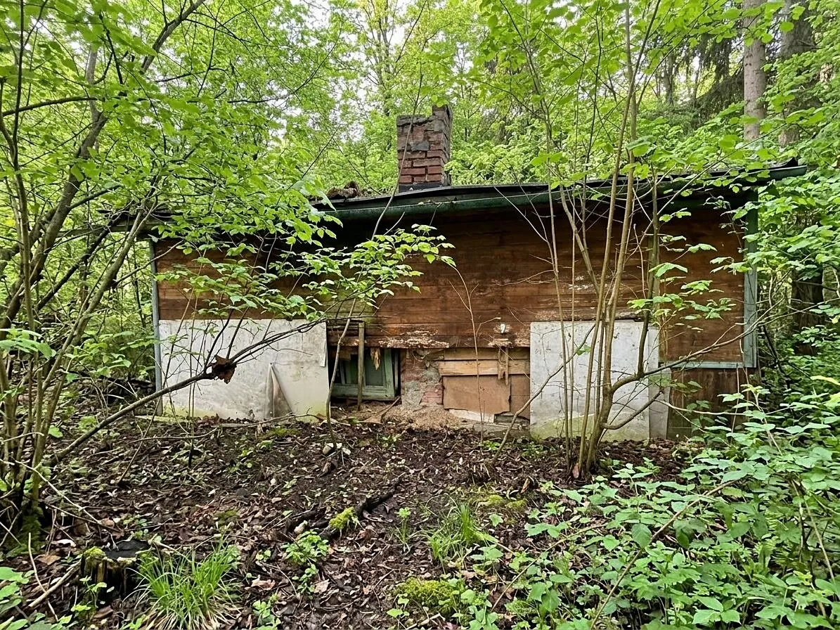 Prodej lesa 373 m²