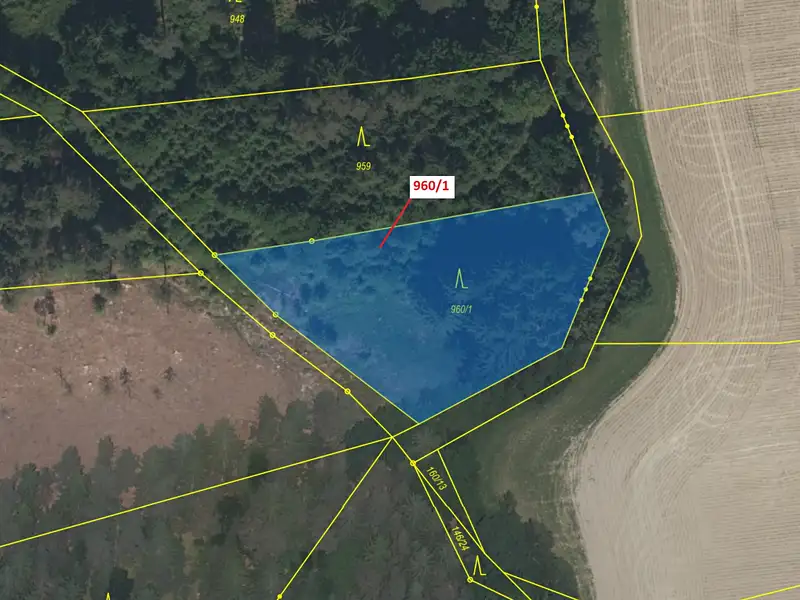 Dražba lesa 2342 m², Stehlovice – náhled fotky 2