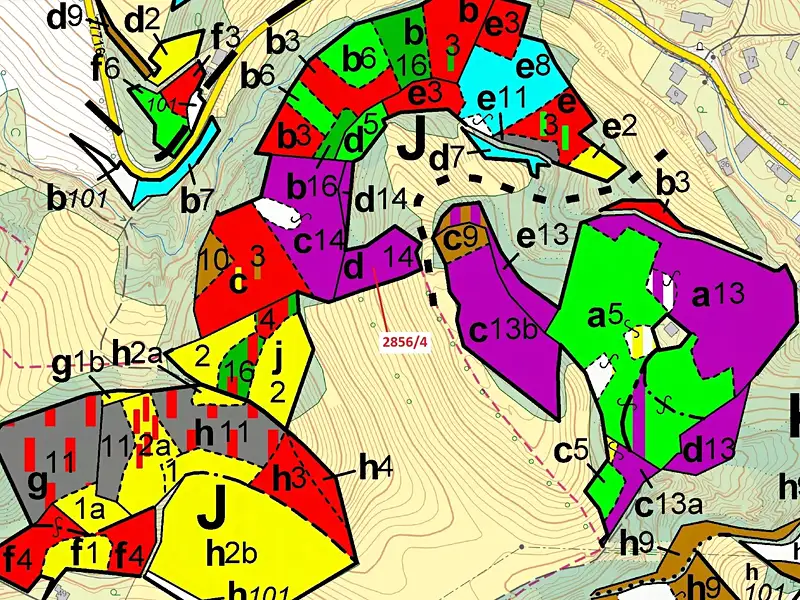 Dražba lesa 2709 m², Český Dub – náhled fotky 3