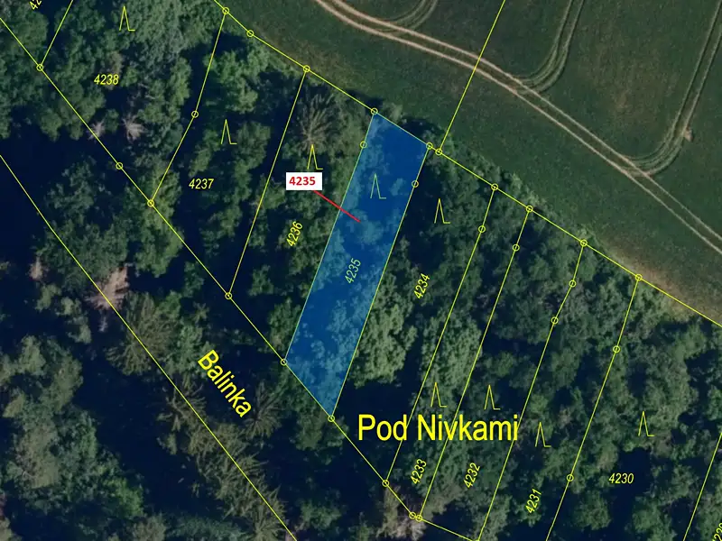 Dražba lesa 486 m², Lukovany – náhled fotky 2