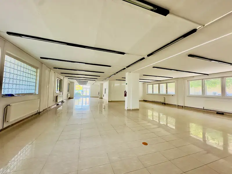 Pronájem obchodního prostoru 593 m², Blatná – náhled fotky 3